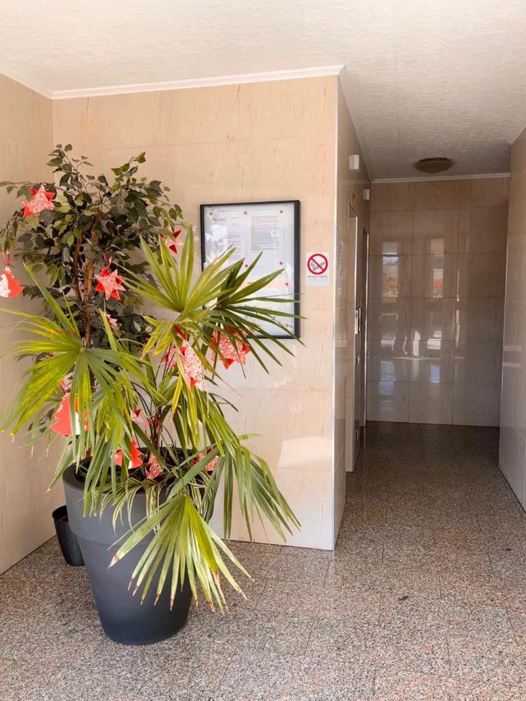 Coco Apartment Bergamo Ngoại thất bức ảnh